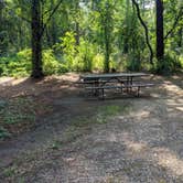 Review photo of Kettle Moraine Southern Unit — Kettle Moraine State Forest-Southern Unit by Josh F., August 29, 2020