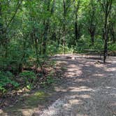 Review photo of Kettle Moraine Southern Unit — Kettle Moraine State Forest-Southern Unit by Josh F., August 29, 2020