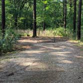 Review photo of Kettle Moraine Southern Unit — Kettle Moraine State Forest-Southern Unit by Josh F., August 29, 2020