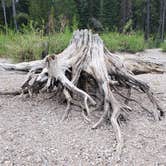 Review photo of Colter Bay Tent Village at Colter Bay Village — Grand Teton National Park by Steve P., August 29, 2020