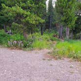 Review photo of Colter Bay Tent Village at Colter Bay Village — Grand Teton National Park by Steve P., August 29, 2020