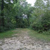 Review photo of Lake Kegonsa State Park Campground by Josh F., August 29, 2020