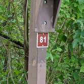 Review photo of Lake Kegonsa State Park Campground by Josh F., August 29, 2020