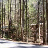 Review photo of Unicoi State Park & Lodge by Hunter C., July 6, 2016