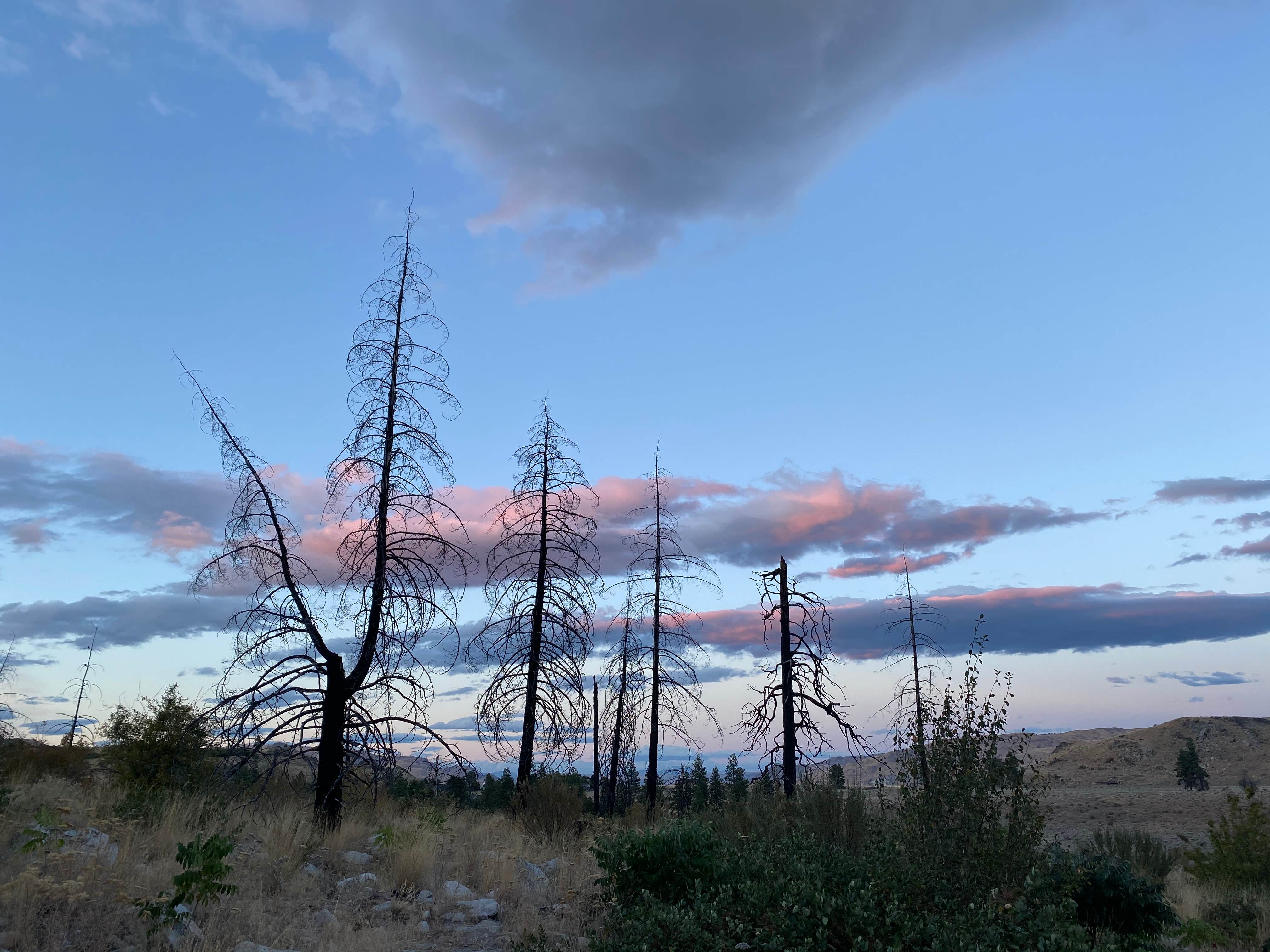 Camper-submitted photo at Alta Lake State Park Campground near Chelan, WA