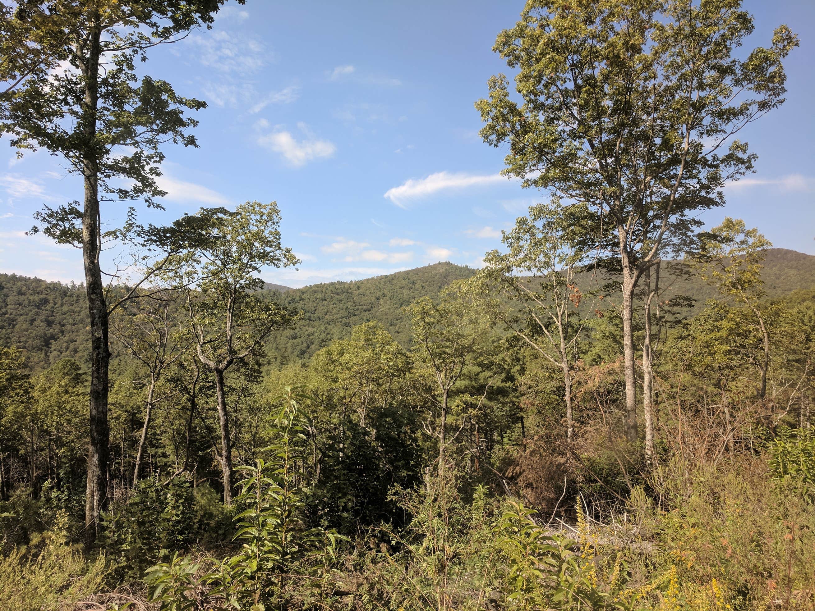 Sarah's Creek Campground The Dyrt