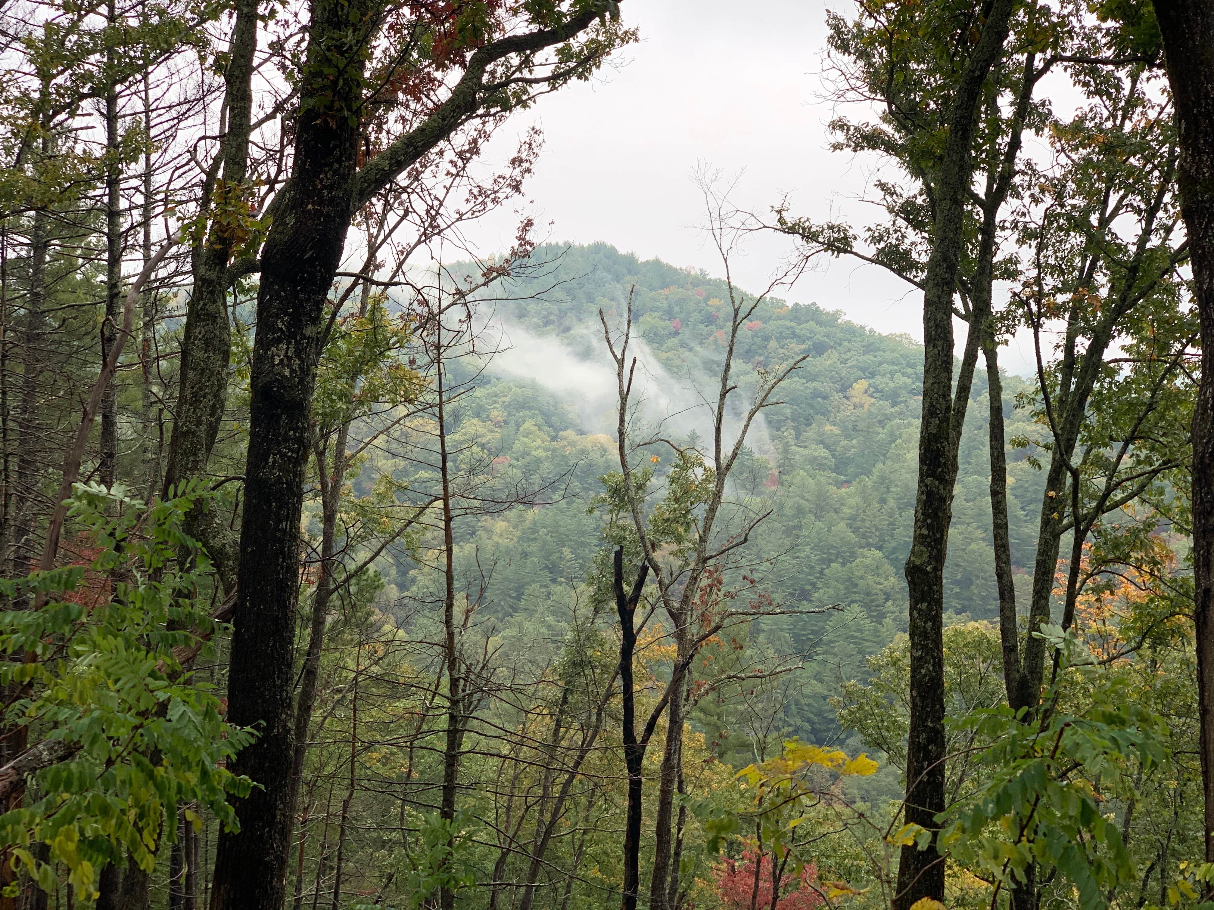 Camper-submitted photo at Upper Chattahoochee River Campground — Chattahoochee Oconee National Forest near Helen, GA