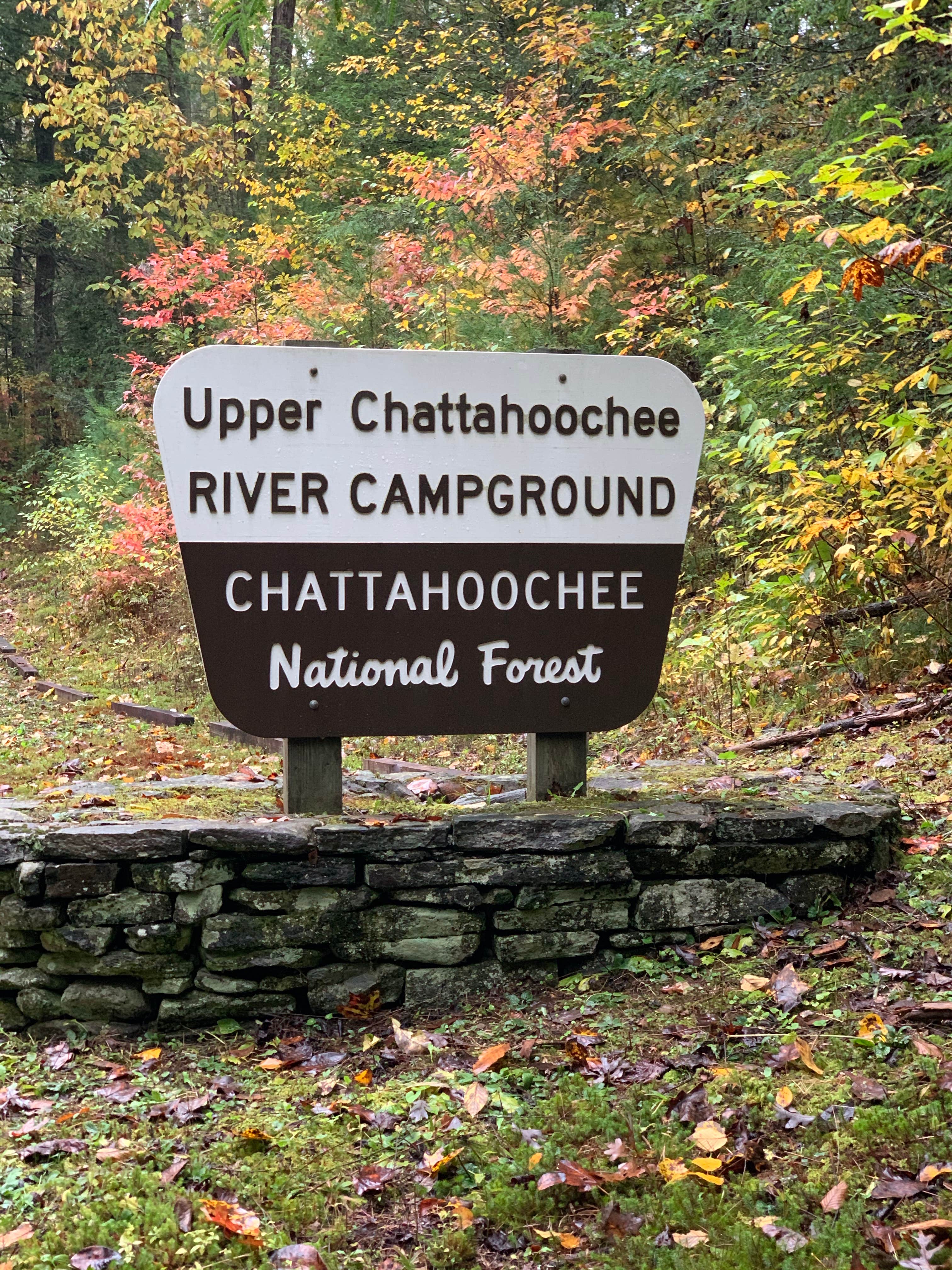 Camper submitted image from Upper Chattahoochee River Campground — Chattahoochee Oconee National Forest - 3