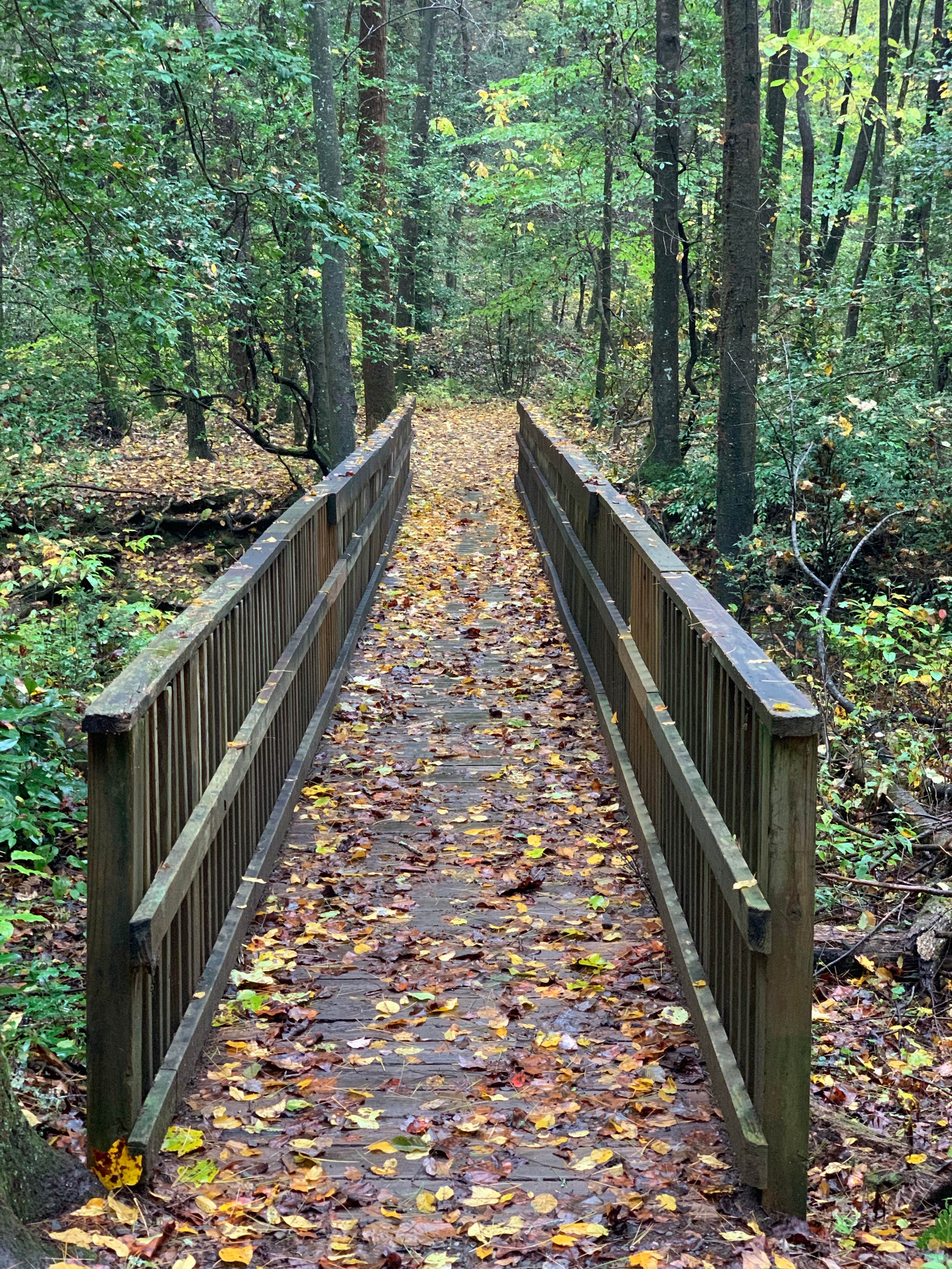 Camper submitted image from Upper Chattahoochee River Campground — Chattahoochee Oconee National Forest - 1