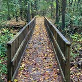 Review photo of Upper Chattahoochee River Campground — Chattahoochee Oconee National Forest by Ferd B., August 29, 2020