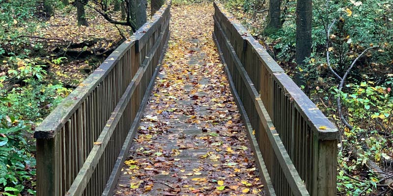 Camper submitted image from Upper Chattahoochee River Campground — Chattahoochee Oconee National Forest