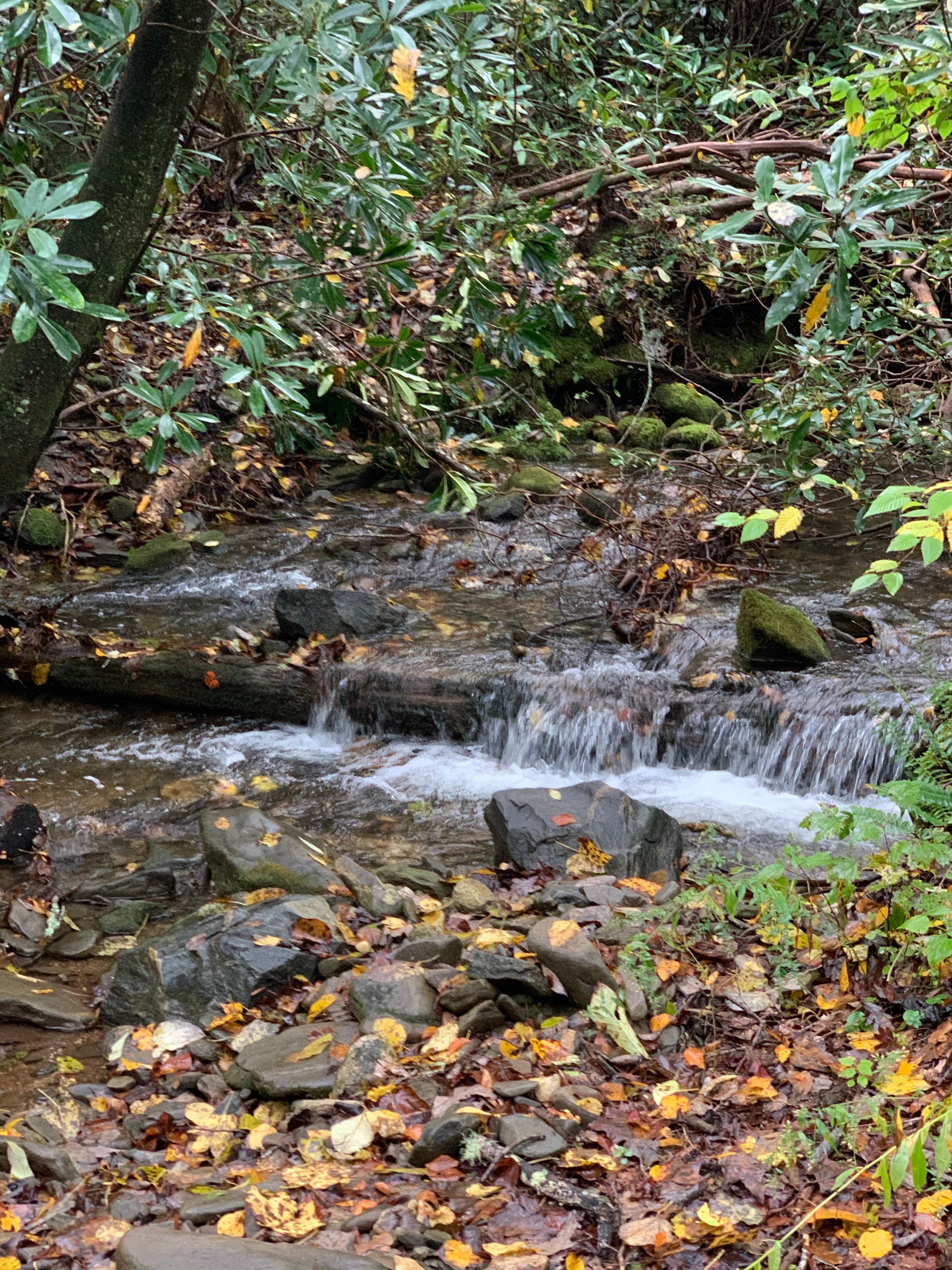 Camper-submitted photo at Upper Chattahoochee River Campground — Chattahoochee Oconee National Forest near Helen, GA