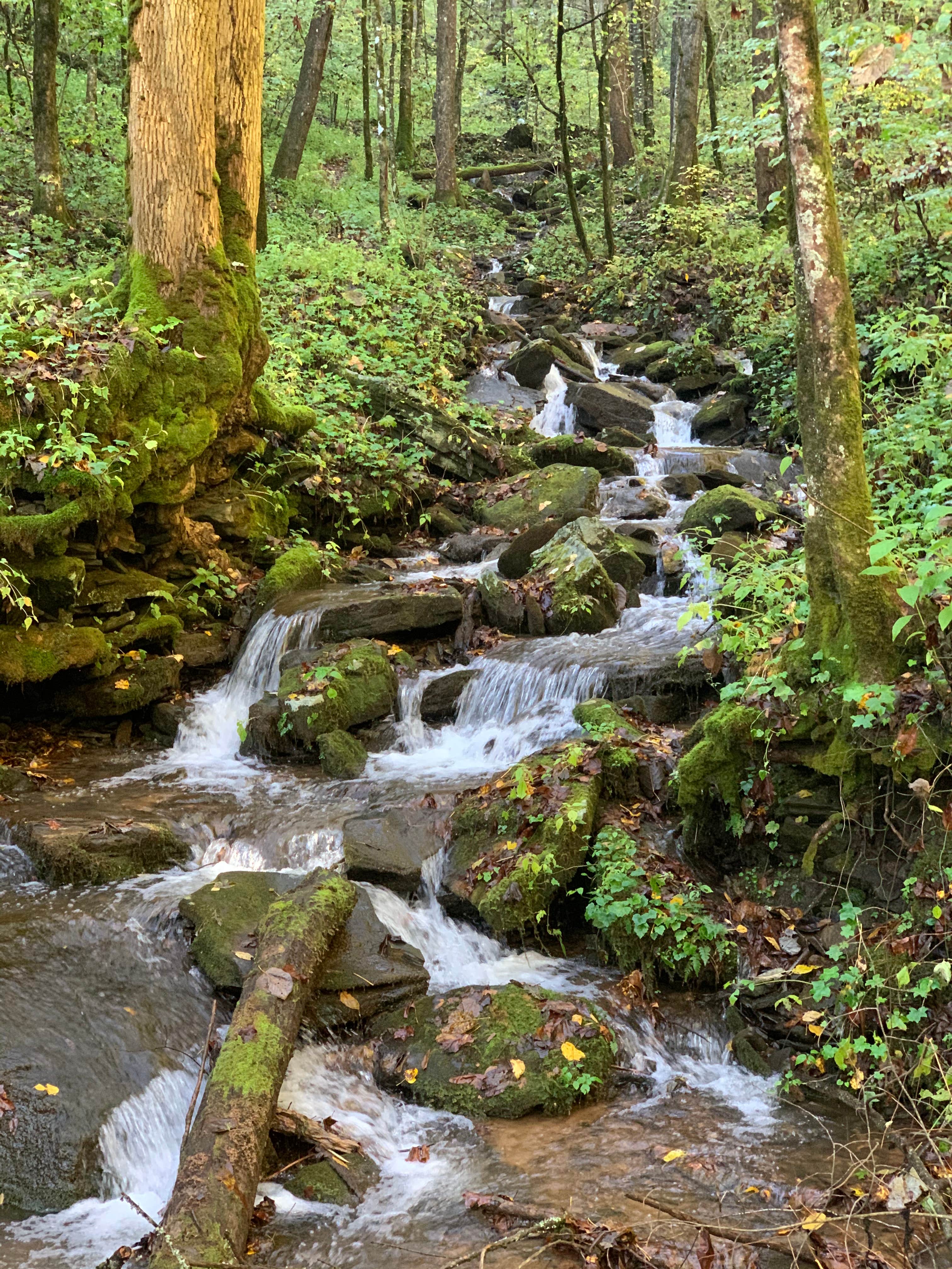 Camper-submitted photo at Upper Chattahoochee River Campground — Chattahoochee Oconee National Forest near Helen, GA