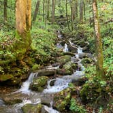 Review photo of Upper Chattahoochee River Campground — Chattahoochee Oconee National Forest by Ferd B., August 29, 2020