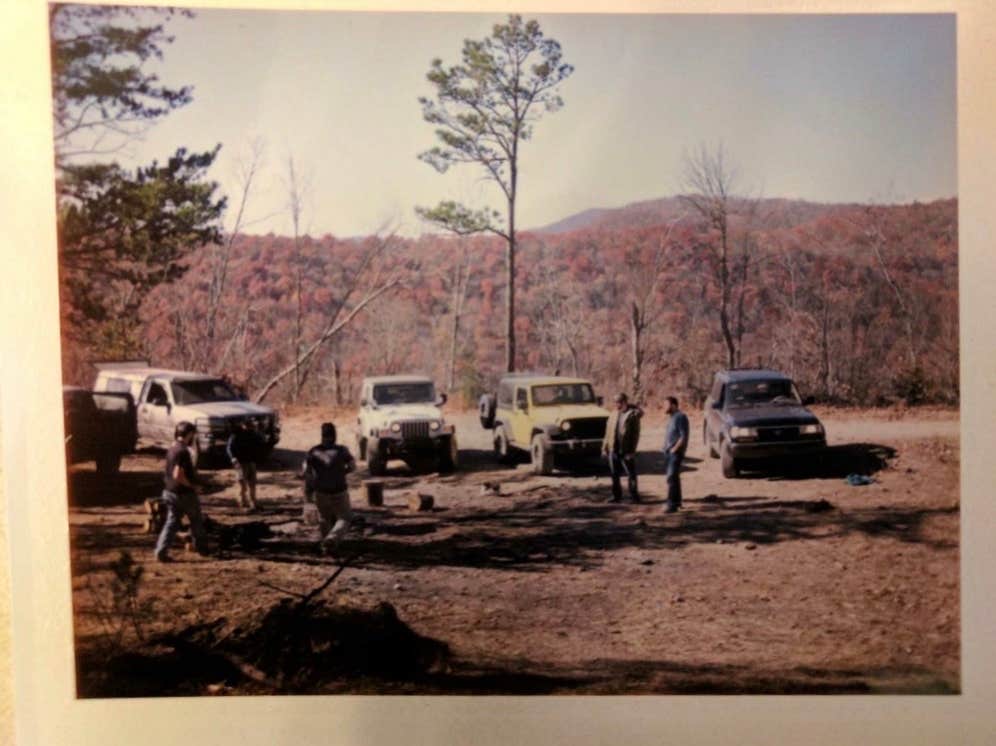 Camper-submitted photo at Wildcat 1 near Clayton, GA