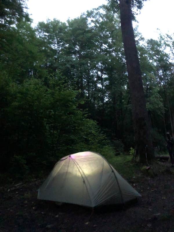 B+J S.'s photo of tent camping at 70 Jonas Creek near Bryson City, NC