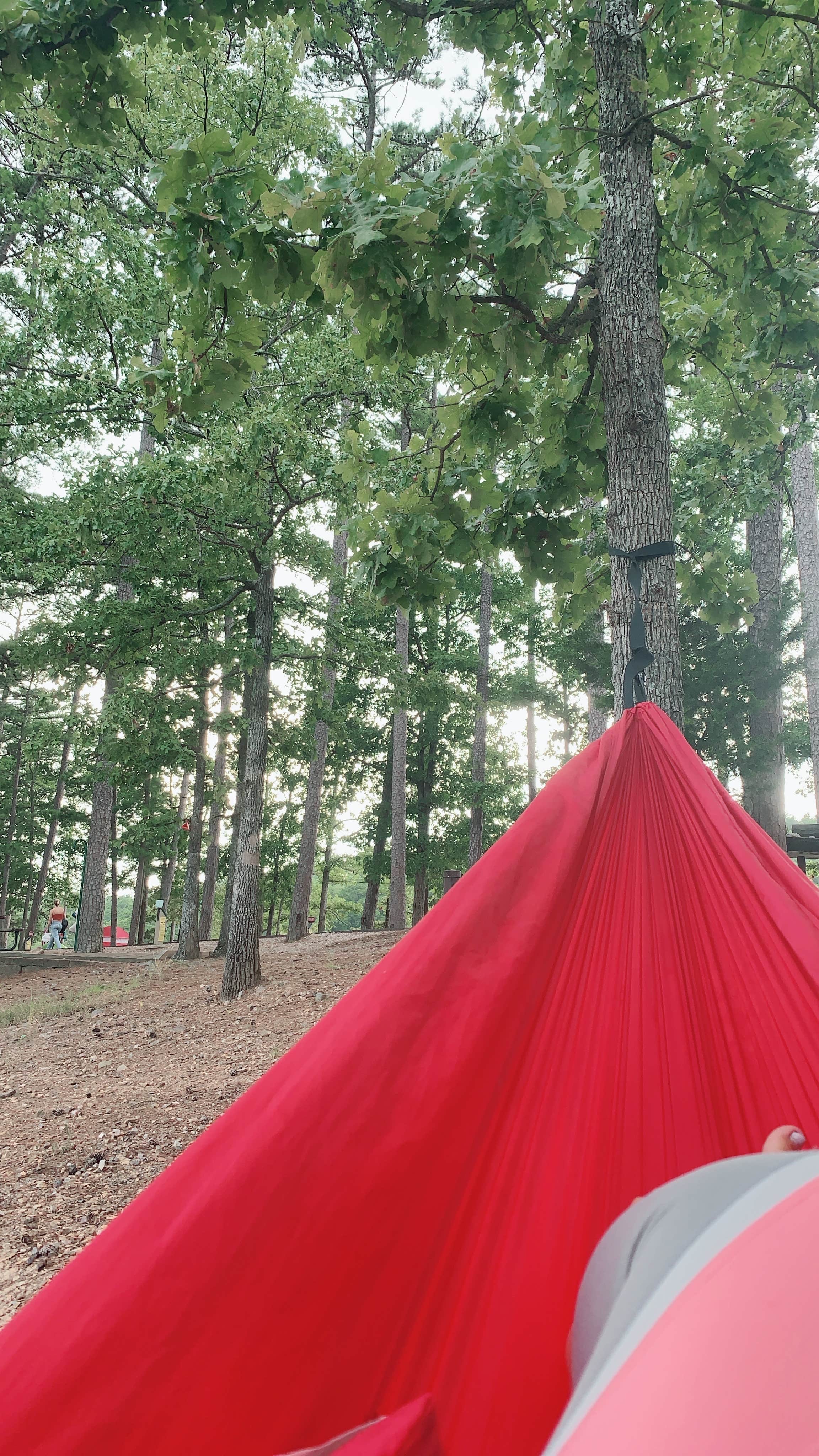 Stephanie J.'s photo at Lake Ouachita State Park Campground near Jessieville, AR