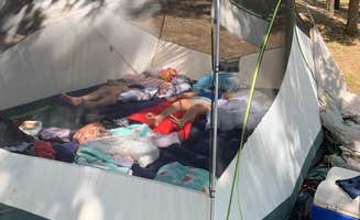 Stephanie J.'s photo at Lake Ouachita State Park Campground near Ouachita Lake