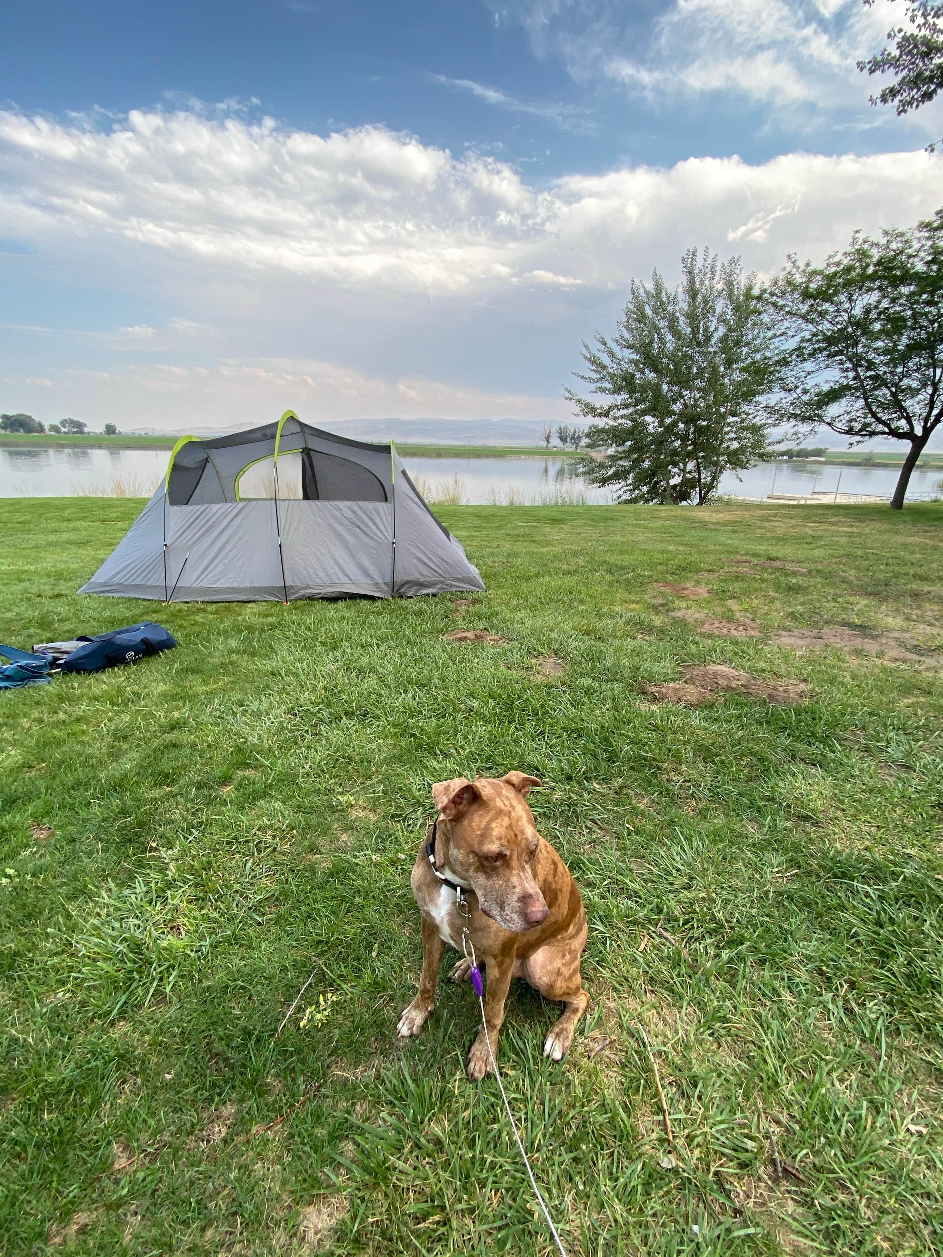 Kyli A.'s photo of camping with pets at Twin Falls County Murtaugh Lake Park near Jerome, ID
