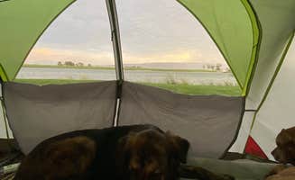 Kyli A.'s photo of camping with pets at Twin Falls County Murtaugh Lake Park near Twin Falls, ID