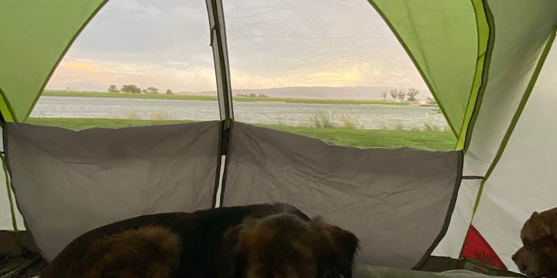 Camper submitted image from Twin Falls County Murtaugh Lake Park