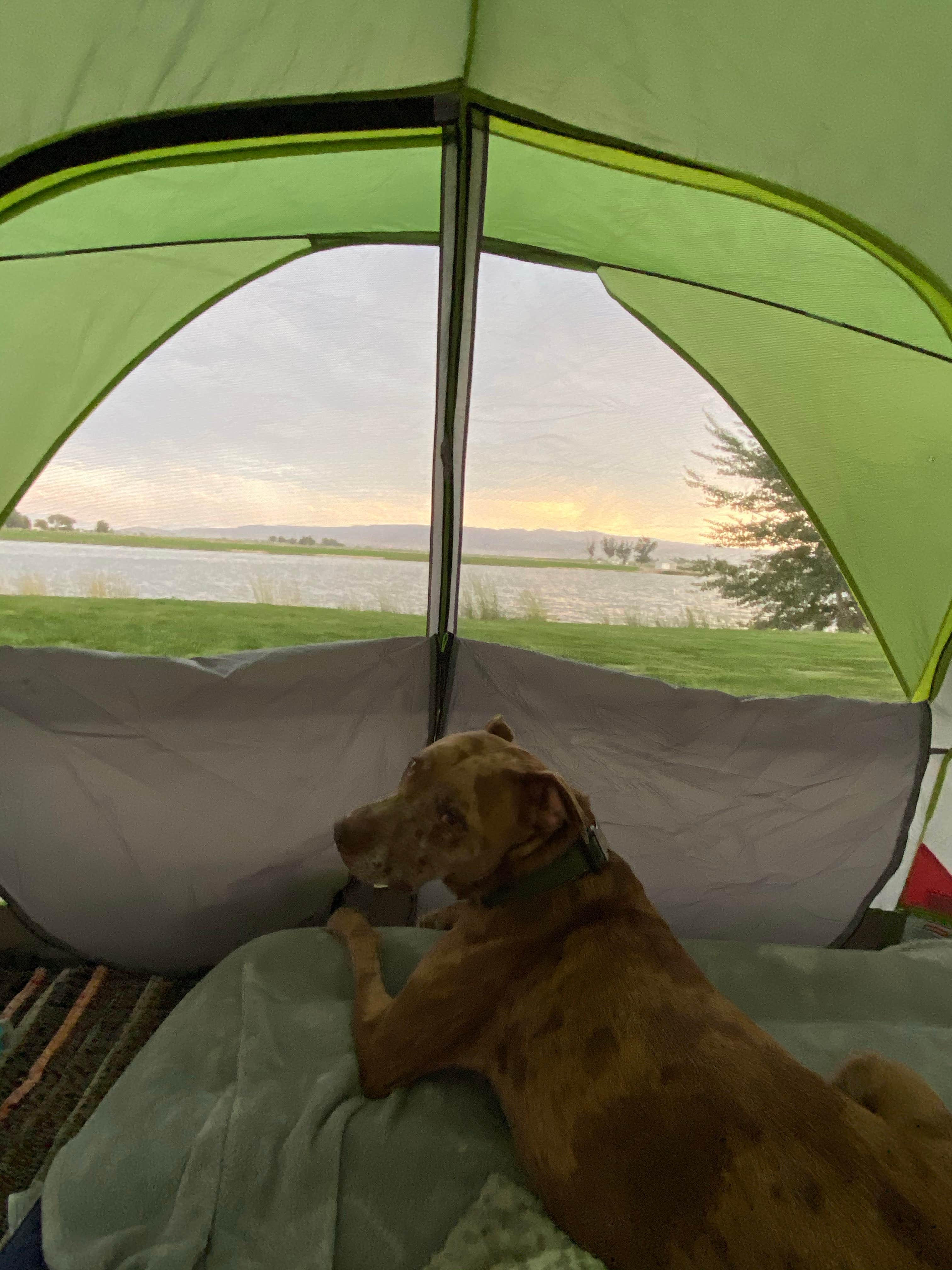 Camper-submitted photo at Twin Falls County Murtaugh Lake Park near Hansen, ID