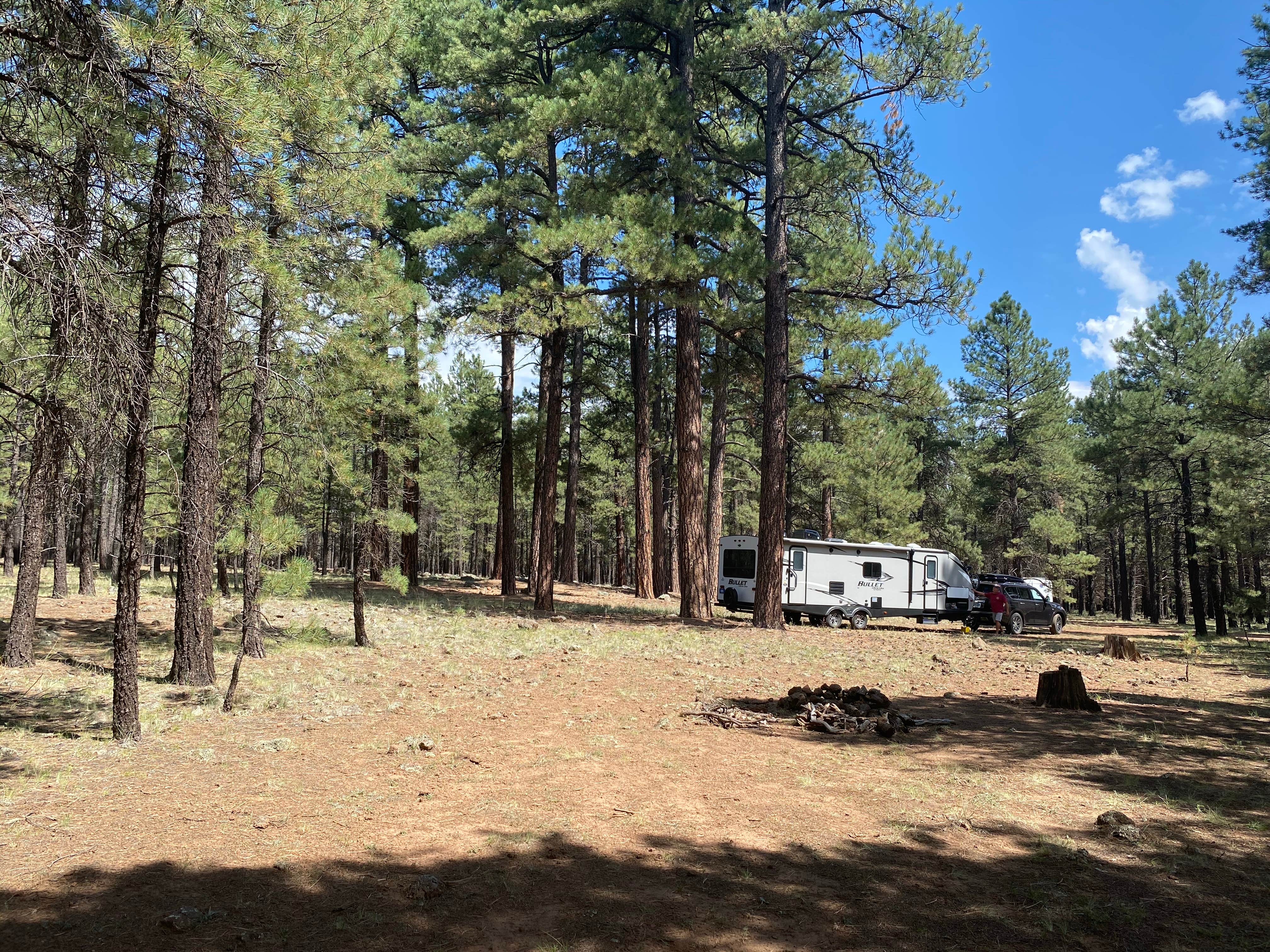 Jessica M.'s photo at FR 222 Dispersed in Arizona