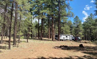 Jessica M.'s photo at FR 222 Dispersed in Arizona