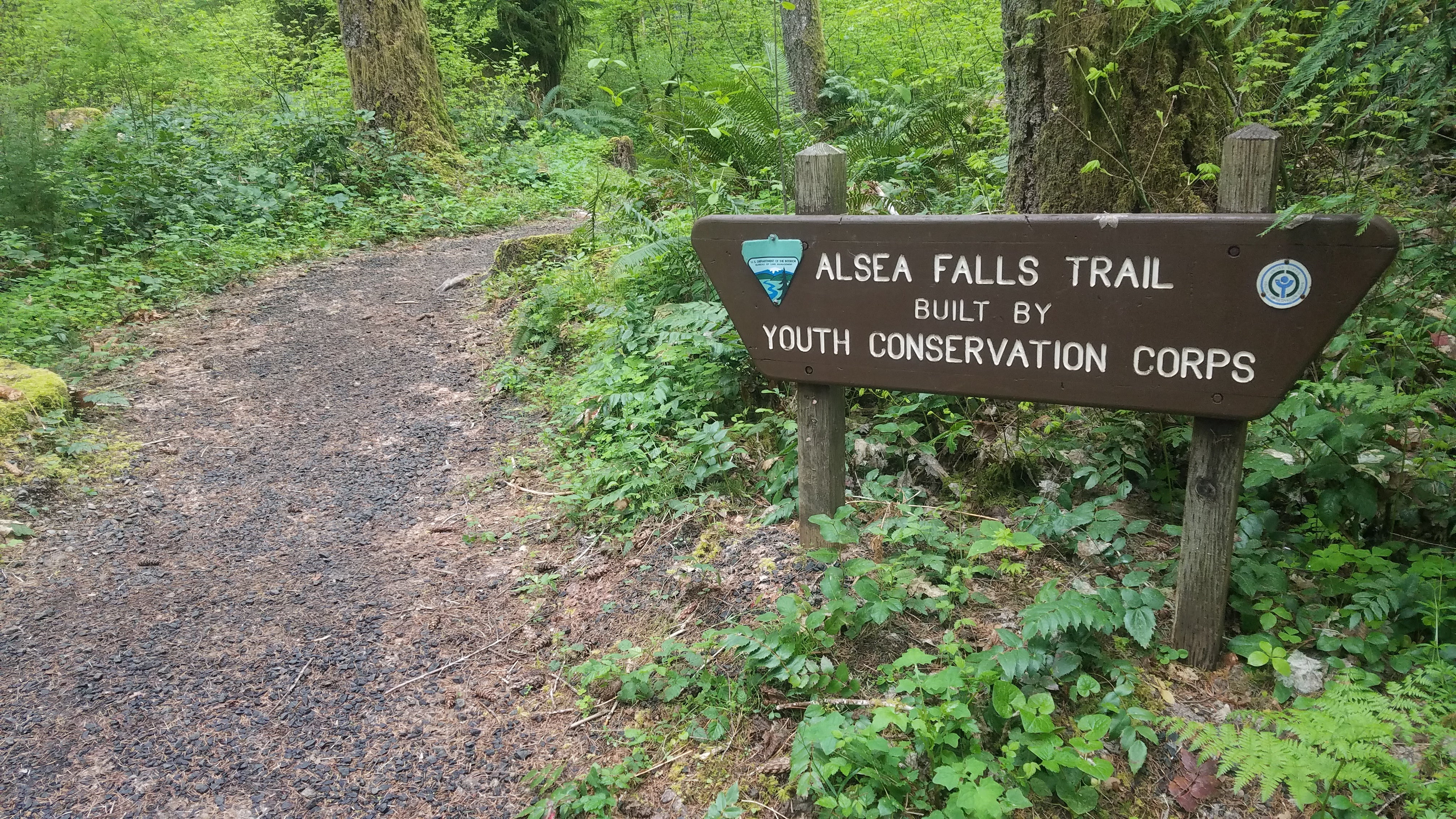 Camper submitted image from Alsea Falls - 5