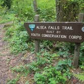 Review photo of Alsea Falls by Tj B., May 10, 2018