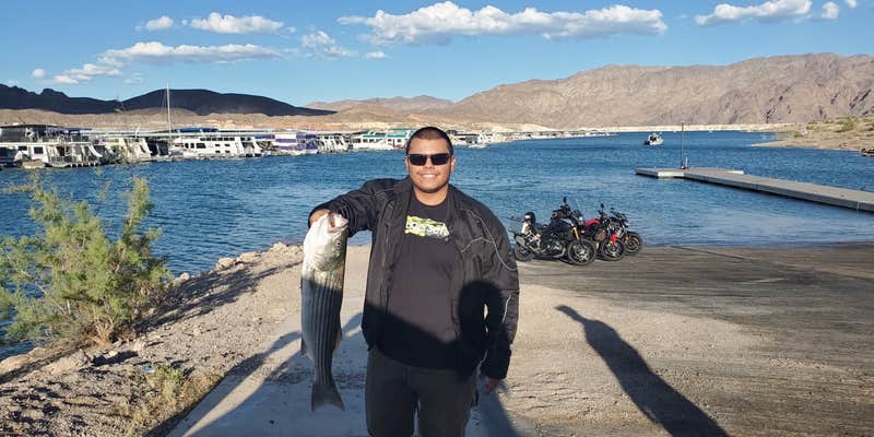 Camper submitted image from Callville Bay RV Park — Lake Mead National Recreation Area