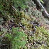 Review photo of Maidstone State Park — Maidstone State Forest by Kyle B., August 30, 2020