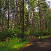 Review photo of Alsea Falls by Tj B., May 10, 2018