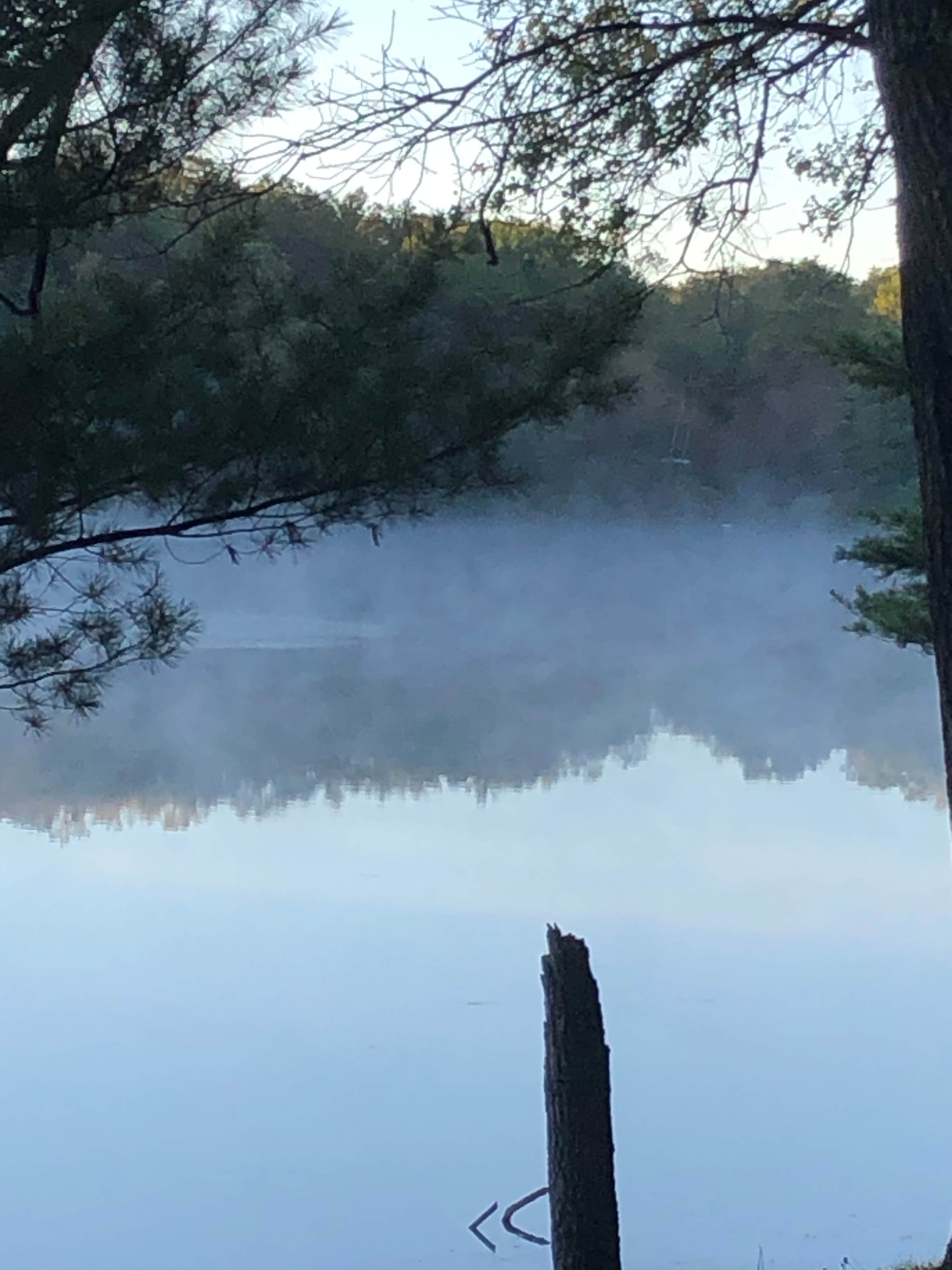 Camper-submitted photo at Woods and Water RV Resort near Whitehall, MI