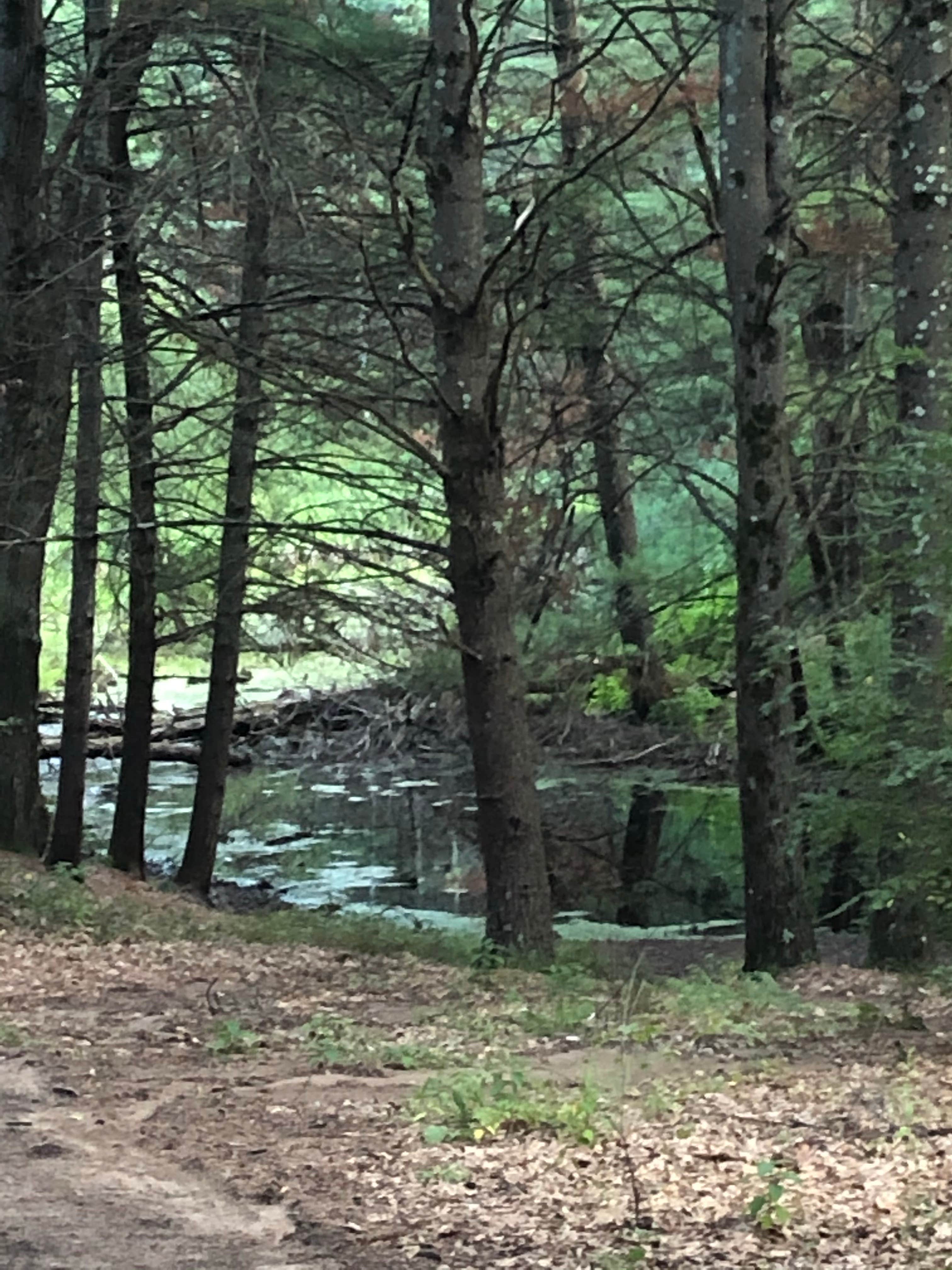 Camping near Woods and Water: Woods and Water RV Resort, Newaygo, Michigan