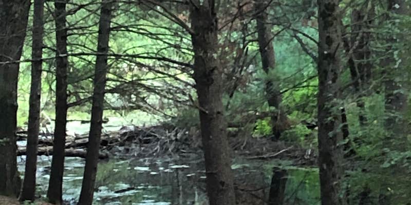 Camper submitted image from Woods and Water RV Resort