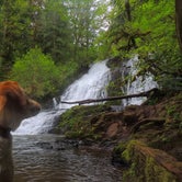 Review photo of Alsea Falls by Tj B., May 10, 2018