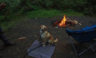 Tj B.'s photo at Alsea Falls near Monroe, OR
