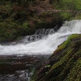 Review photo of Alsea Falls by Tj B., May 10, 2018