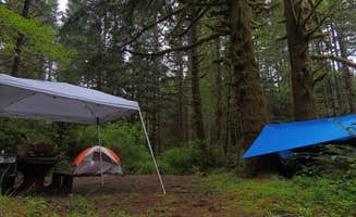 Tj B.'s photo of tent camping at Alsea Falls near Cottage Grove, OR