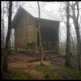 Review photo of Springer Mountain Shelter by Amy G., May 10, 2018