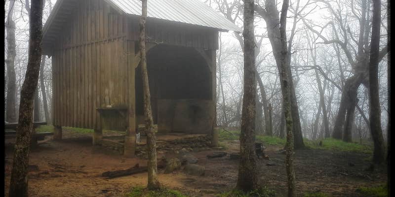 Camper submitted image from Springer Mountain Shelter
