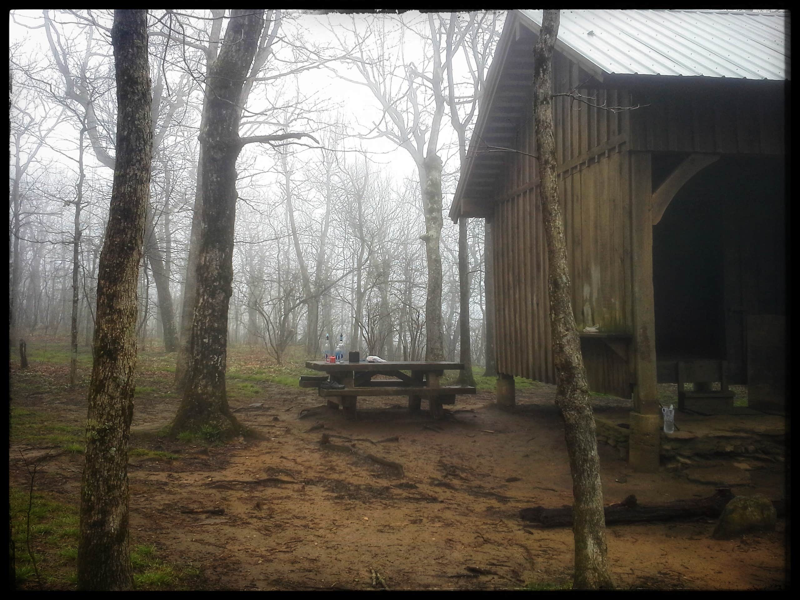 Camper submitted image from Springer Mountain Shelter - 4