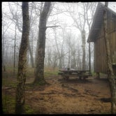 Review photo of Springer Mountain Shelter by Amy G., May 10, 2018