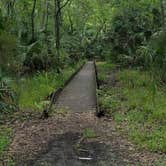 Review photo of Jay B. Starkey Wilderness Park by Steve S., July 6, 2016