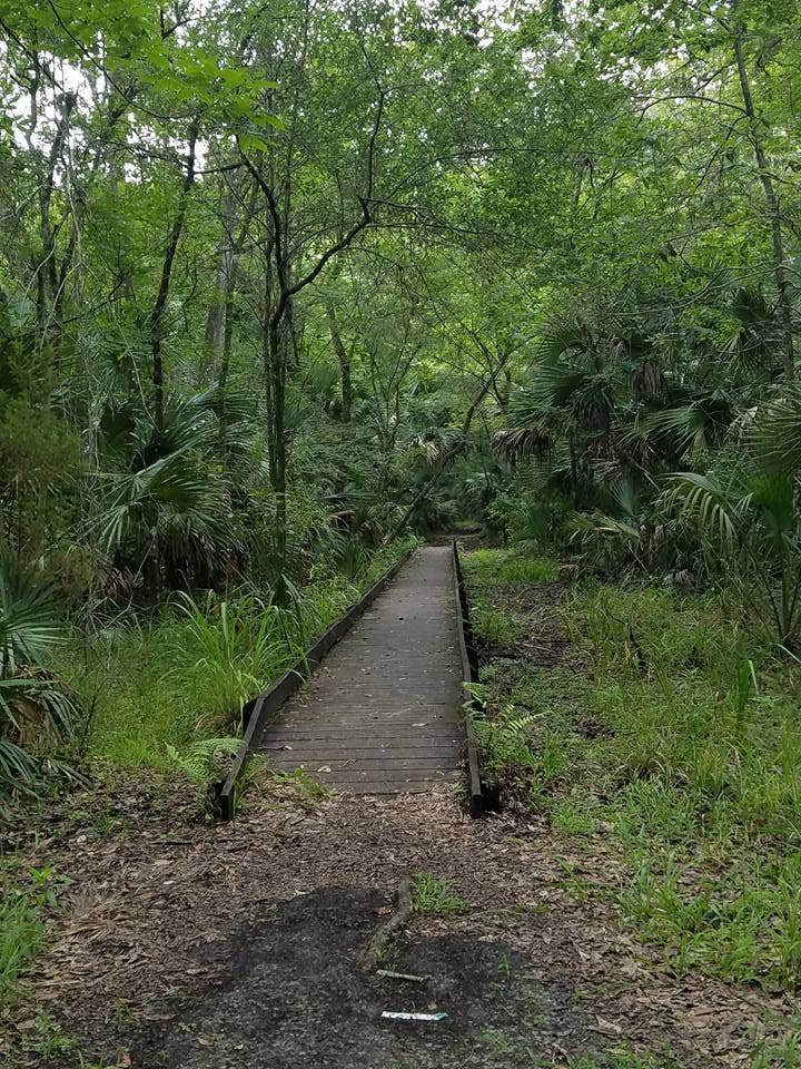 Camper submitted image from Jay B. Starkey Wilderness Park - 3