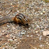 Review photo of East Bearskin Lake Campground by Jessica H., May 10, 2018