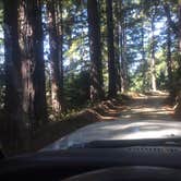 Review photo of Usal Beach Campsites — Sinkyone Wilderness State Park by Mike C., May 10, 2018