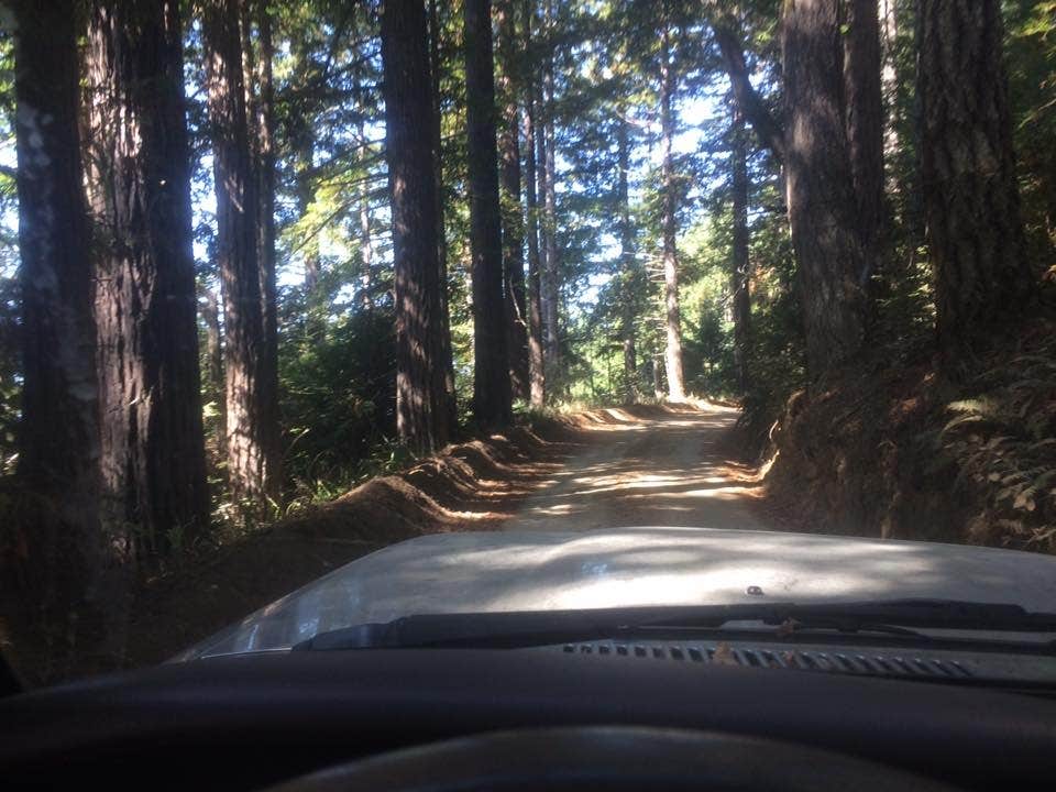 Camper submitted image from Usal Beach Campsites — Sinkyone Wilderness State Park - 3