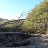 Review photo of Usal Beach Campsites — Sinkyone Wilderness State Park by Mike C., May 10, 2018